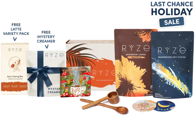 Day + Night Bundle B30Q