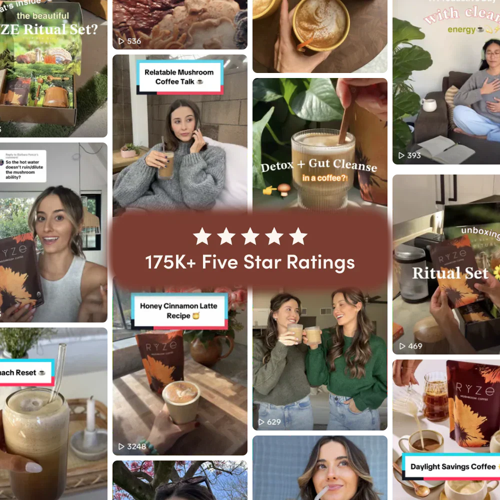 Dark Roast Starter Kit B27T