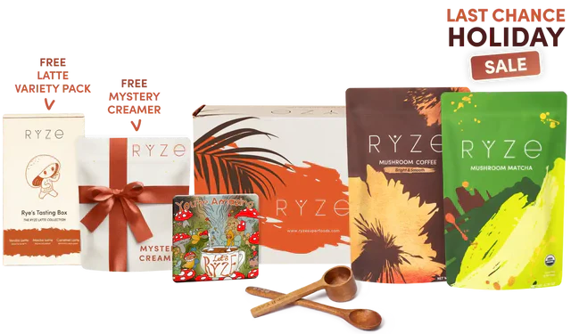 All Day Energy Bundle B29N