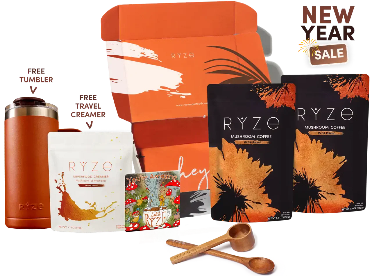 Dark Roast Starter Kit B27T
