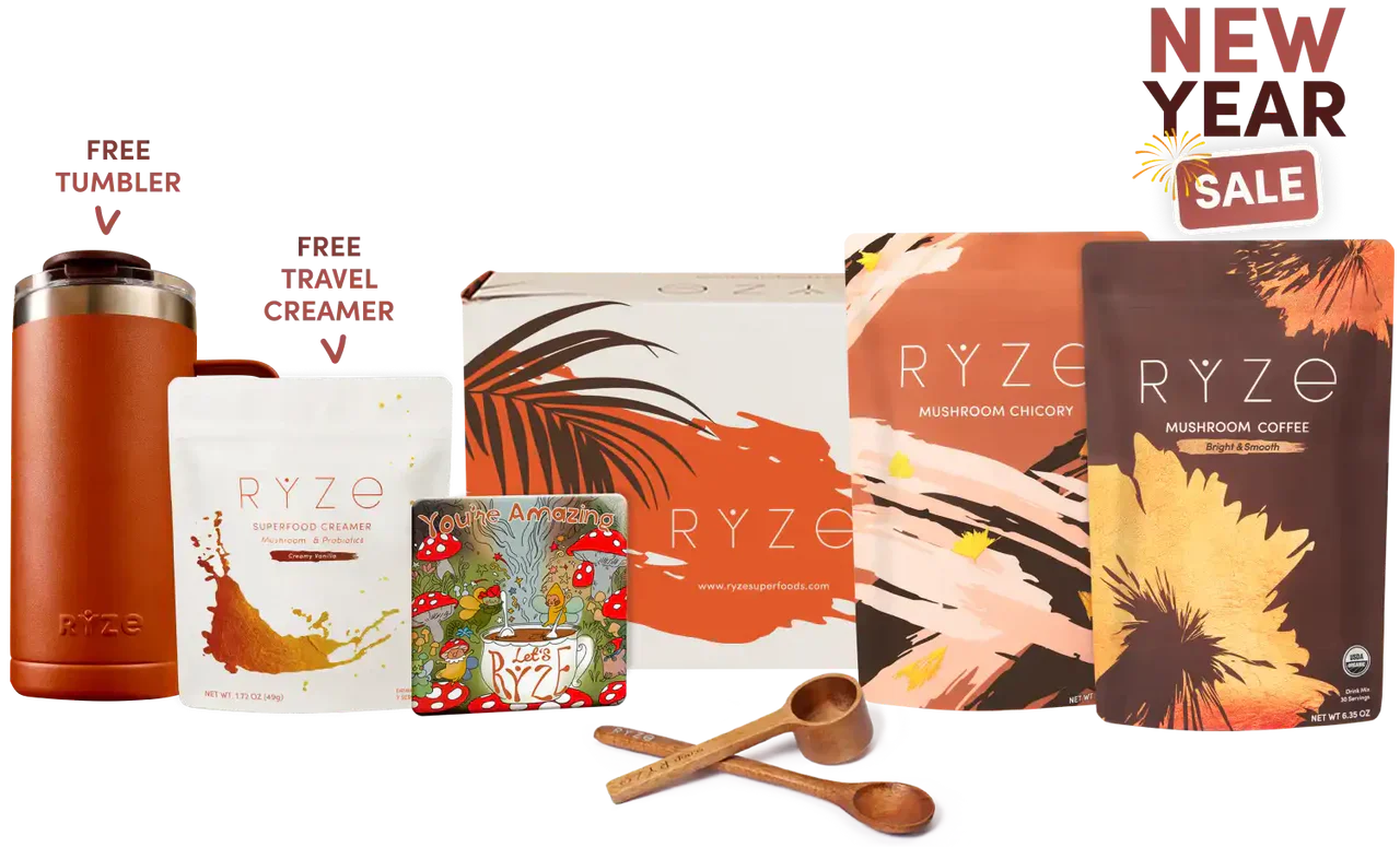 Lasting Energy Bundle B12F