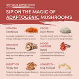 Mushroom Chai B07D