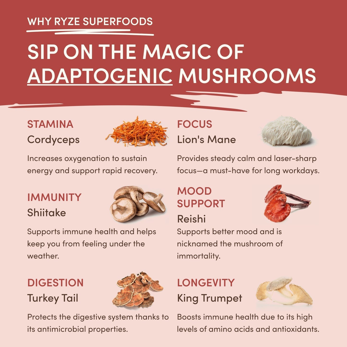 Mushroom Chai B07D