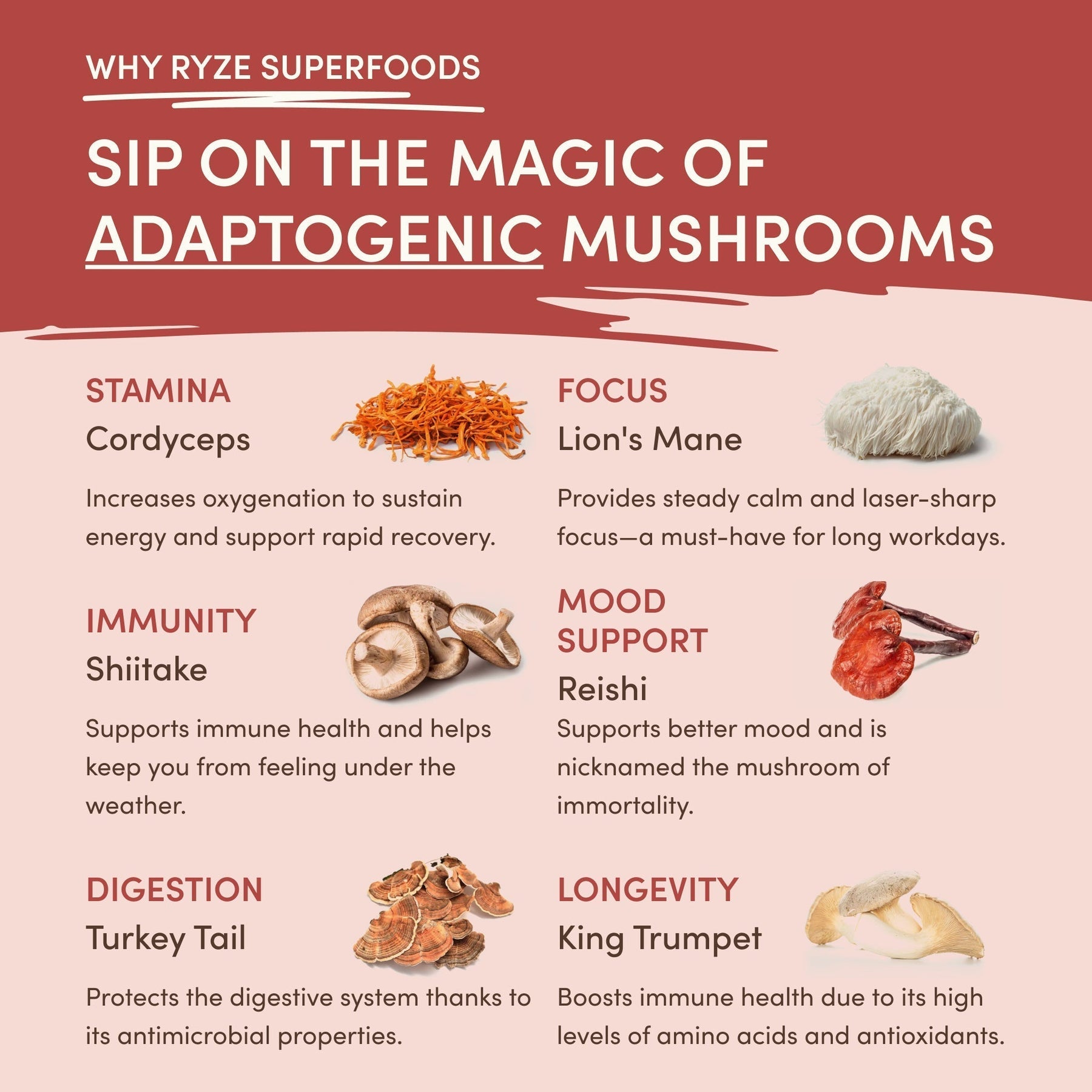Mushroom Chai B07D